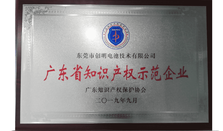 廣東省知識產權示范企業.png